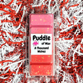 A Thousand Wishes Wax Melts