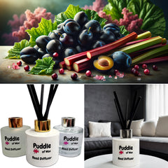 Black Plum & Rhubarb Reed Diffuser