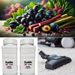 Black Plum & Rhubarb Carpet Freshener