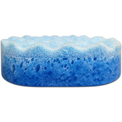 Snowglobe Soap Sponges