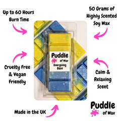 Energising Oasis Wax Melts