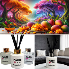 Mango Bliss Reed Diffuser