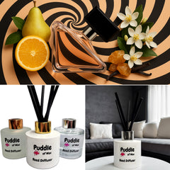 Paradoxal Reed Diffuser