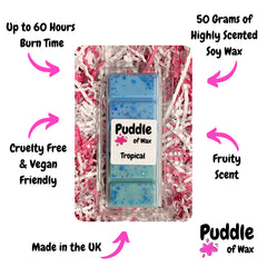 Tropical Wax Melts