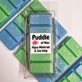 Aqua Minerals & Sea Kelp Wax Melt