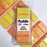 Citrus Explosion Wax Melts