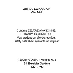 Citrus Explosion Wax Melts