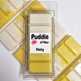 Daisy Wax Melts