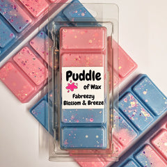 Fabreezy Blossom & Breeze Wax Melts