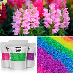 Snapdragon & Patchouli Simmering Granules