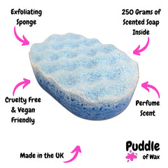 Angel Soap Sponge Infographic