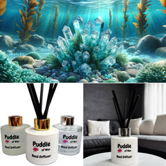 Aqua Minerals & Sea Kelp Reed Diffuser