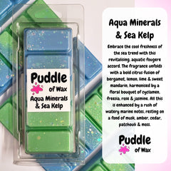 Aqua Minerals & Sea Kelp Wax Melts