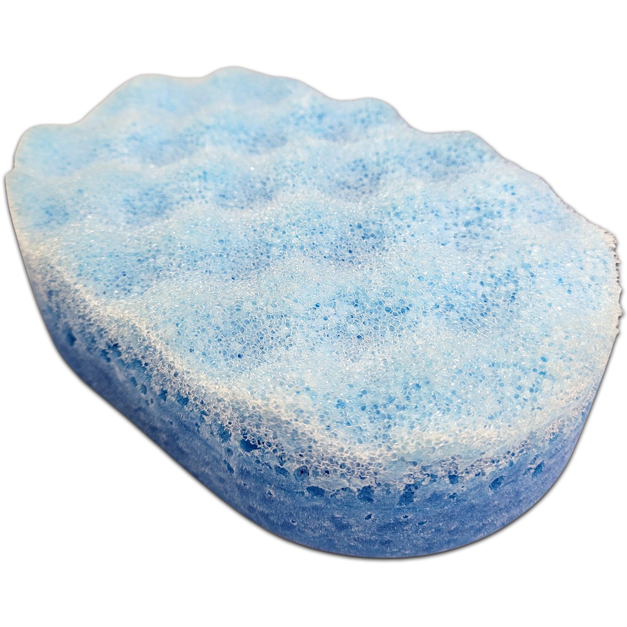 The Male Soap Sponges