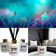 Fairy Sparkle Reed Diffuser