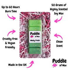 Minty Fresh Wax Melts