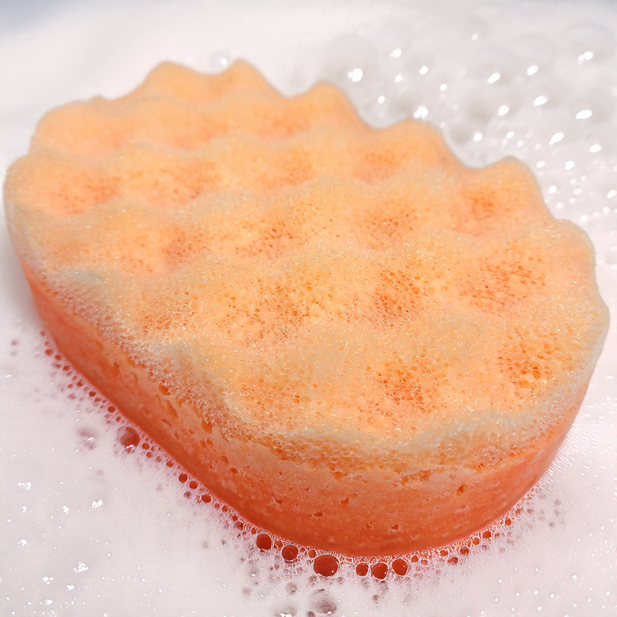 Spiced Pumpkin Soap Sponges