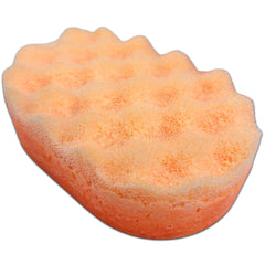 Spiced Pumpkin Soap Sponges