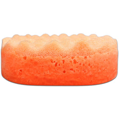 Summer Scoop Soap Sponges