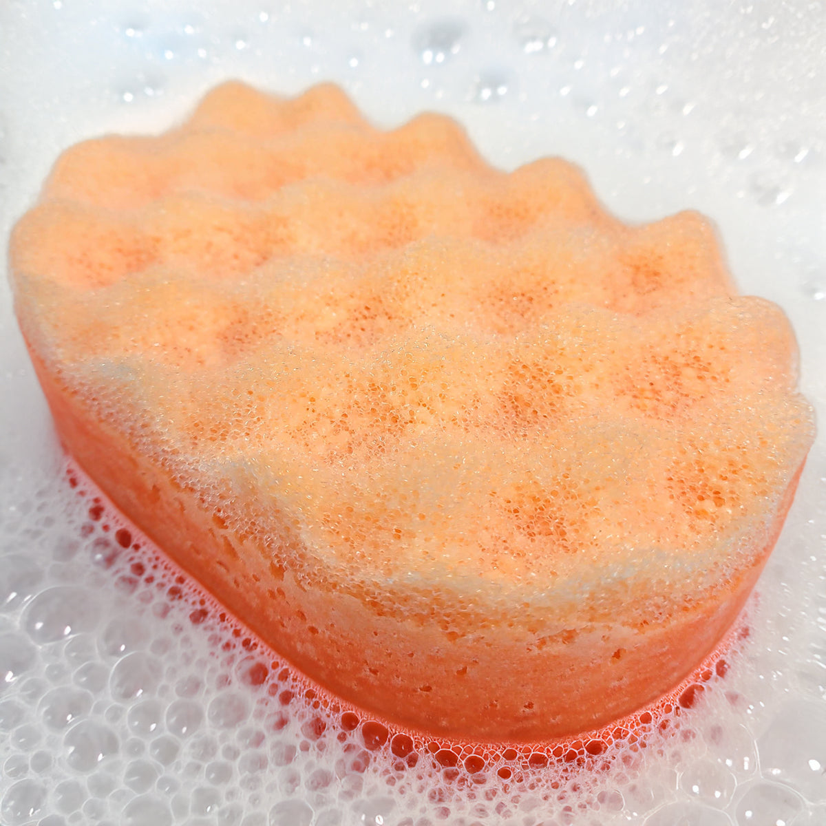 Summer Scoop Soap Sponges