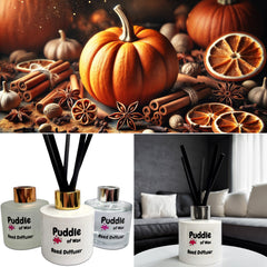 Spiced Pumpkin Reed Diffuser