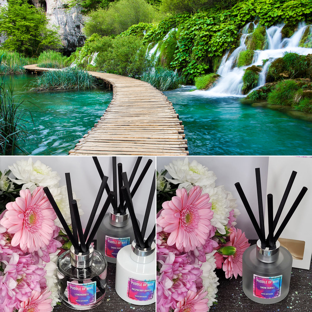Coconut & Waterfall Blooms Reed Diffuser