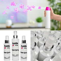 Fabreezy Blossom & Breeze Room Spray
